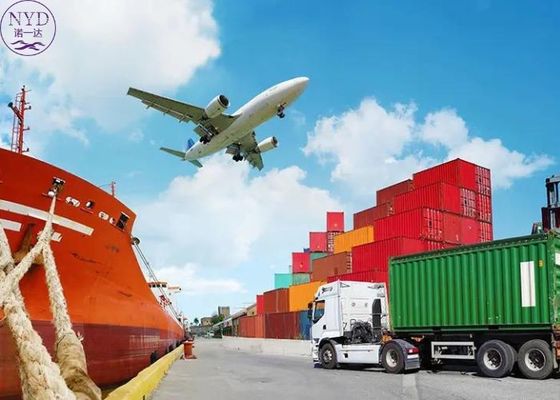 DG International Logistics Freight LCL FCL China Shipping Forwarder