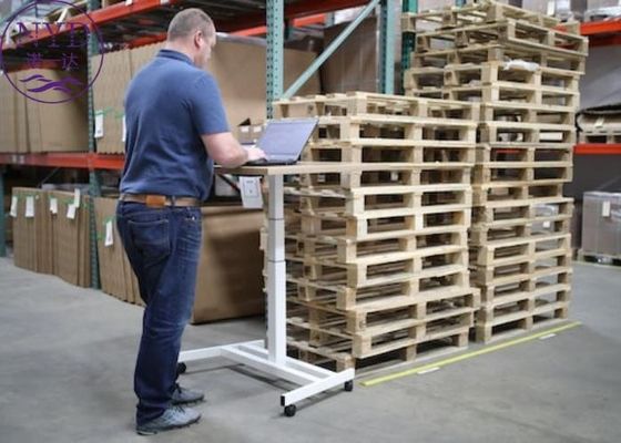 Tracking DG Shipping Ocean Freight International Delivery Service